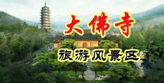 大鸡巴小逼好痒快艹我视频中国浙江-新昌大佛寺旅游风景区